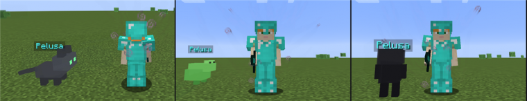 08_mascotas.png