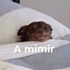 1635731403515.png