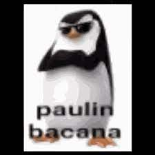 1636484742487.png