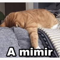 1636592344198.png