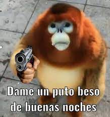 1638320411668.png