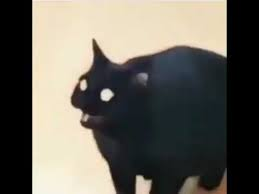 1638806855143.png