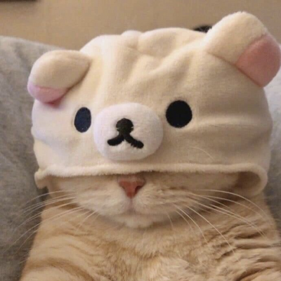 1641014392009.png