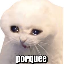 1648003214064.png
