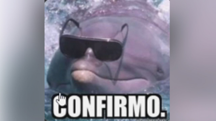 1648250925130.png