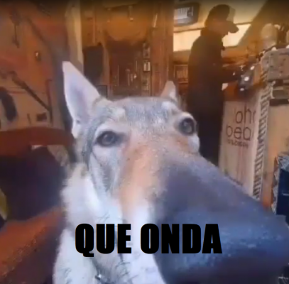 1671072637016.png