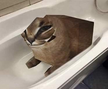 6073b4e5d8d70.jpeg