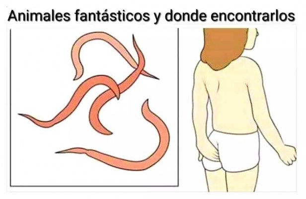 cfa76b26f90341f36ef45e26c9d4f29b33b60dcb.jpg