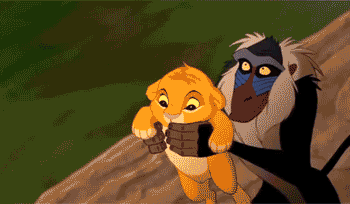 gifuniverso.gif