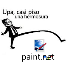 paint .net meme.jpg