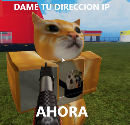 Tu direccion IP MEME.png