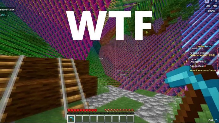 wtf.jpg
