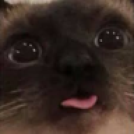 _ManuMC_