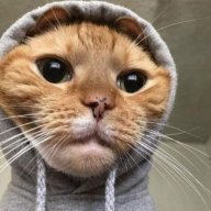 LittlePromiseBoy