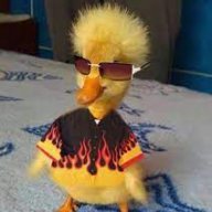 pato2011