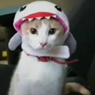 sam_crack12