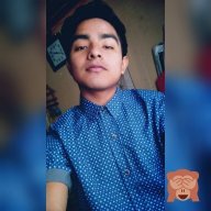Honzy
