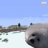 CoreMC_