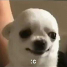 unwarmedunwarmed