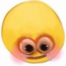 Seb_god