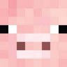amirelnoob