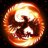 JY_Starfenix