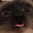_ManuMC_