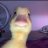 ElNoob_P93