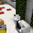 iSayLight_