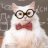 cat_ocelot