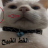 zlAquiles_