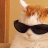 Chocotito_Z